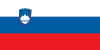 slovenian language